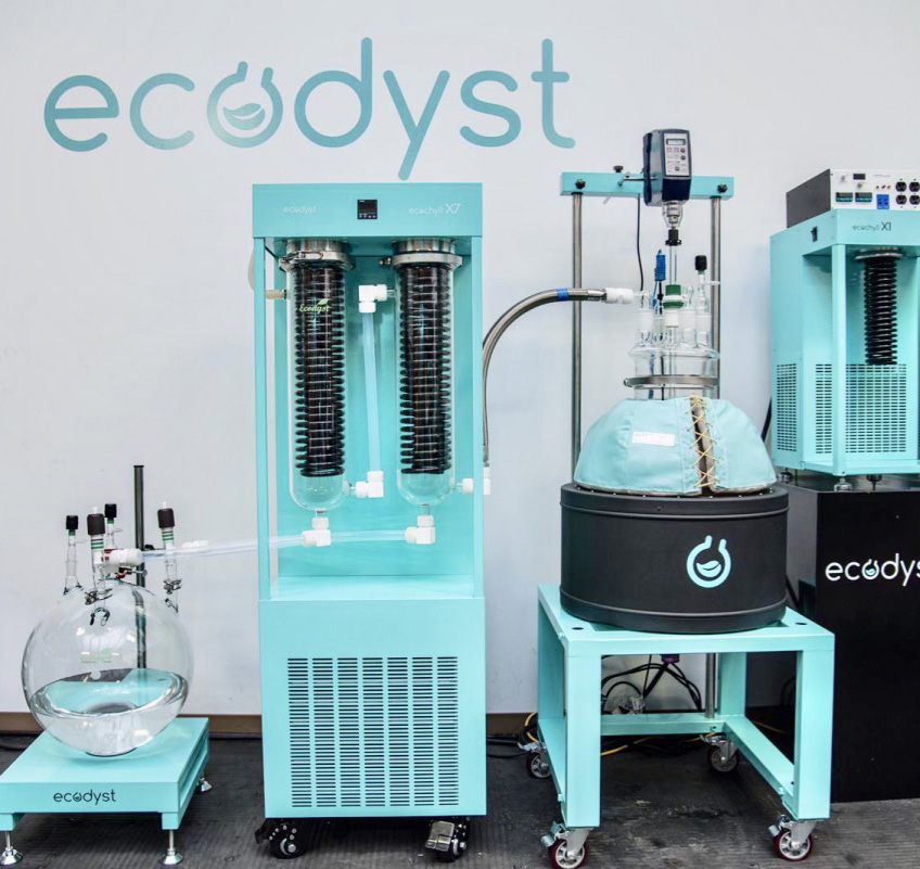 ecodyst